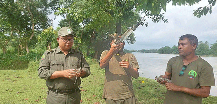 প্রধান উপদেষ্টা পদত্যাগ করবেন না: ফাইজ তাইয়েব আহমেদ