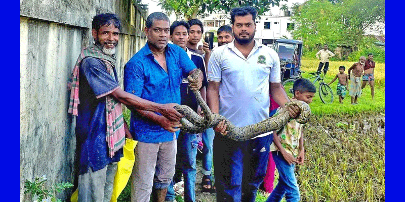 প্রধান উপদেষ্টা পদত্যাগ করবেন না: ফাইজ তাইয়েব আহমেদ