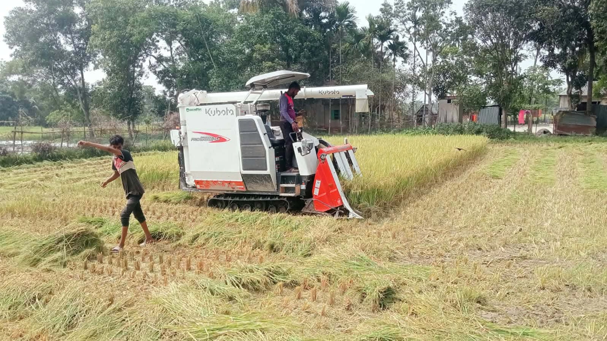 প্রধান উপদেষ্টা পদত্যাগ করবেন না: ফাইজ তাইয়েব আহমেদ