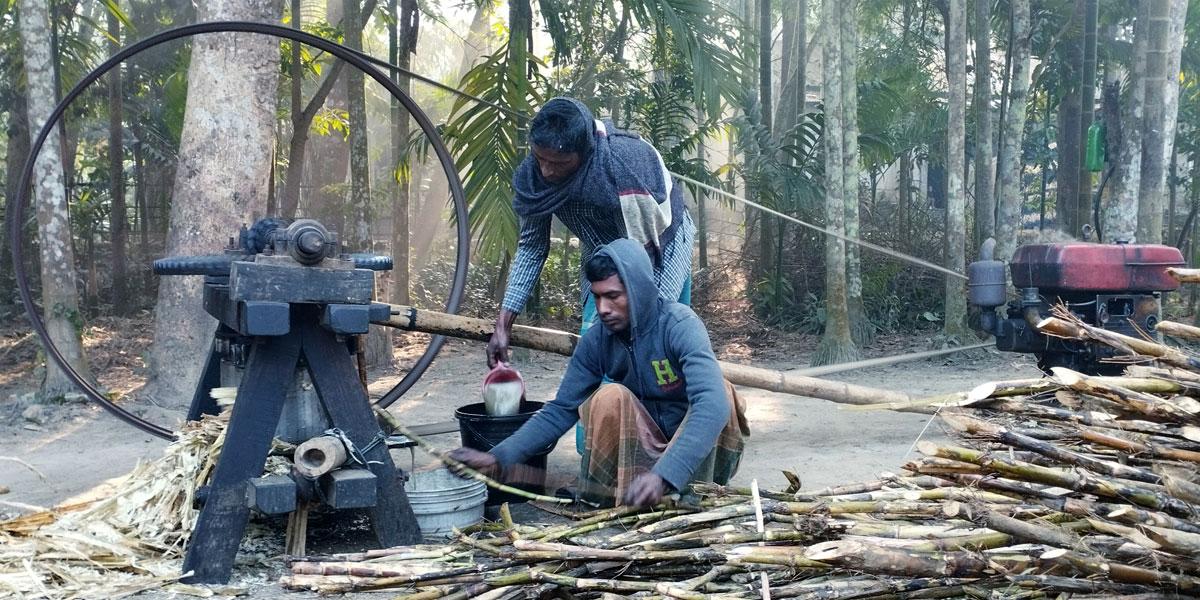 প্রধান উপদেষ্টা পদত্যাগ করবেন না: ফাইজ তাইয়েব আহমেদ