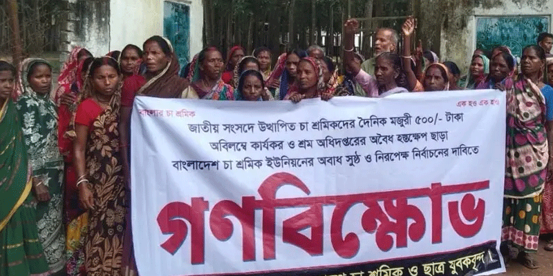 প্রধান উপদেষ্টা পদত্যাগ করবেন না: ফাইজ তাইয়েব আহমেদ