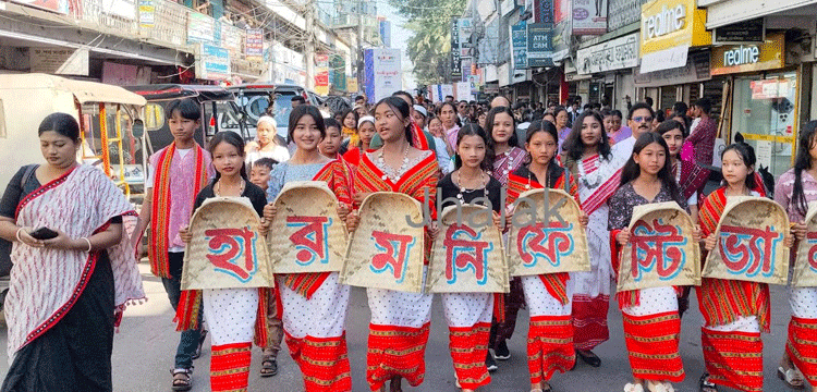 প্রধান উপদেষ্টা পদত্যাগ করবেন না: ফাইজ তাইয়েব আহমেদ