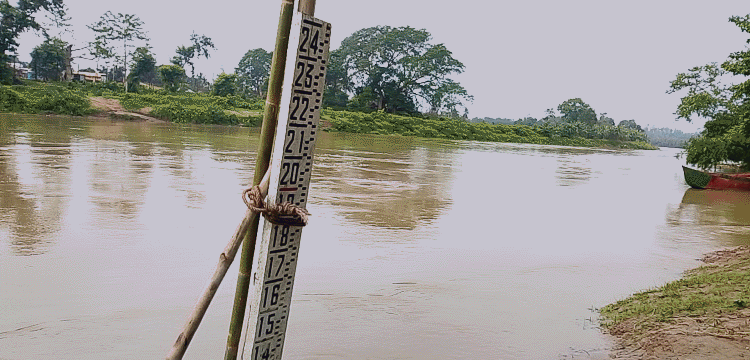 প্রধান উপদেষ্টা পদত্যাগ করবেন না: ফাইজ তাইয়েব আহমেদ