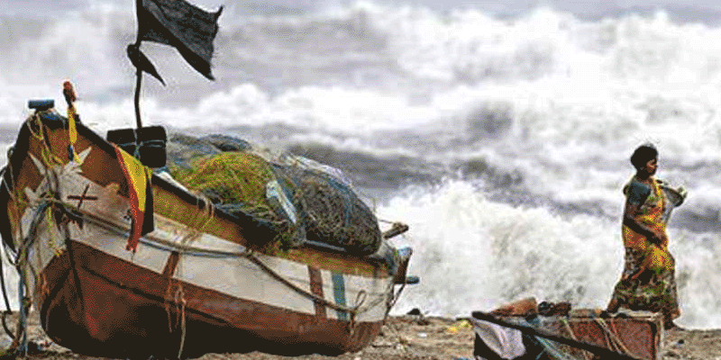 প্রধান উপদেষ্টা পদত্যাগ করবেন না: ফাইজ তাইয়েব আহমেদ