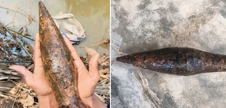 প্রধান উপদেষ্টা পদত্যাগ করবেন না: ফাইজ তাইয়েব আহমেদ