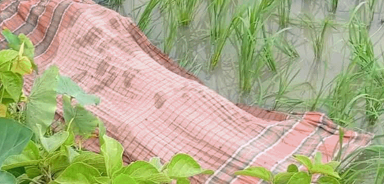 প্রধান উপদেষ্টা পদত্যাগ করবেন না: ফাইজ তাইয়েব আহমেদ