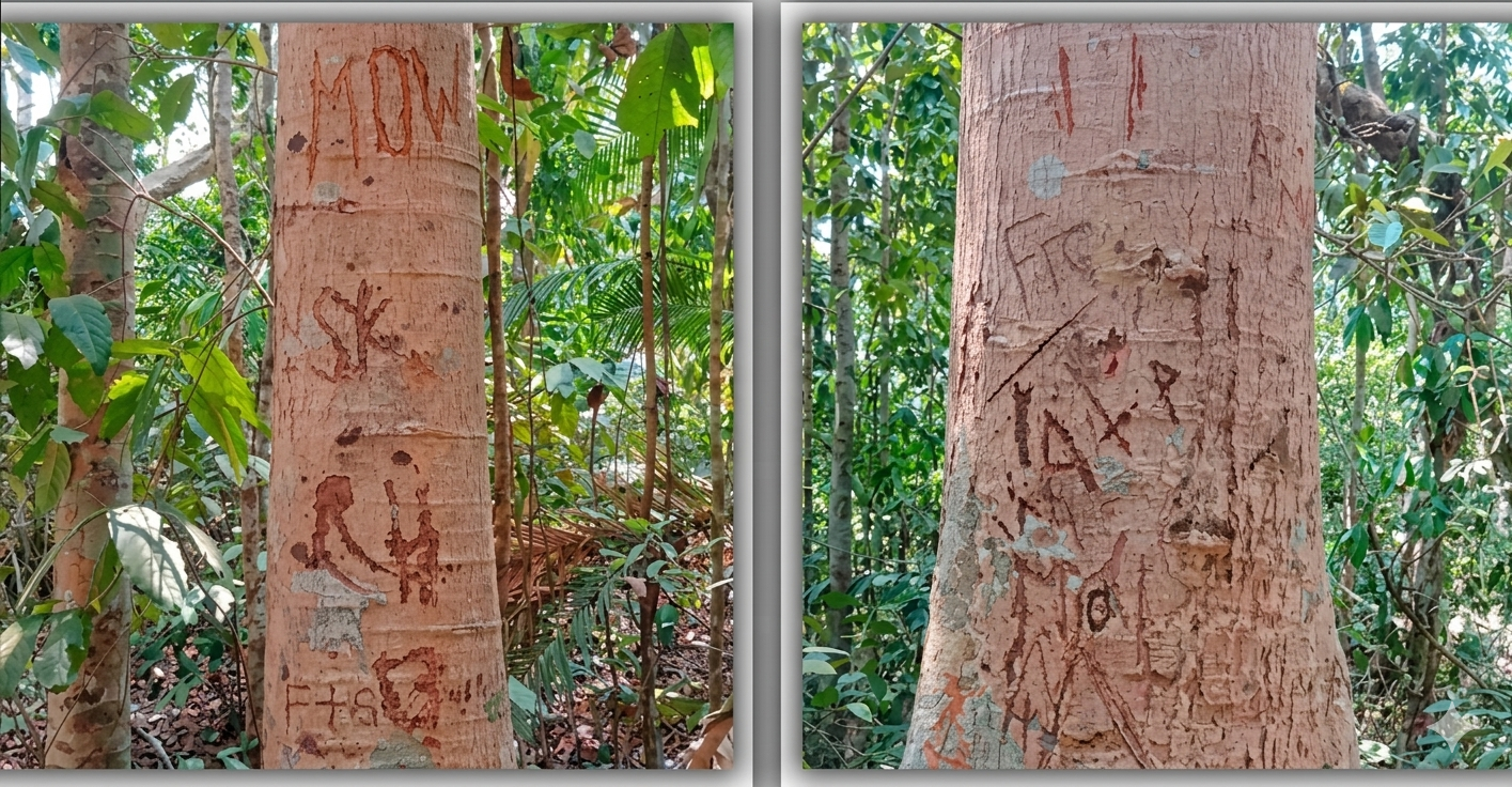 প্রধান উপদেষ্টা পদত্যাগ করবেন না: ফাইজ তাইয়েব আহমেদ