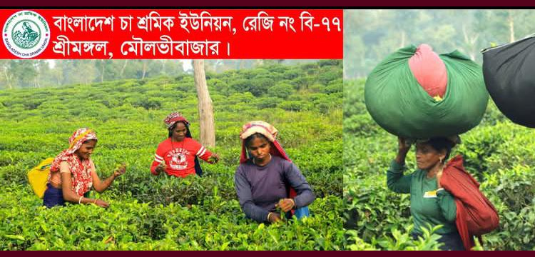 প্রধান উপদেষ্টা পদত্যাগ করবেন না: ফাইজ তাইয়েব আহমেদ