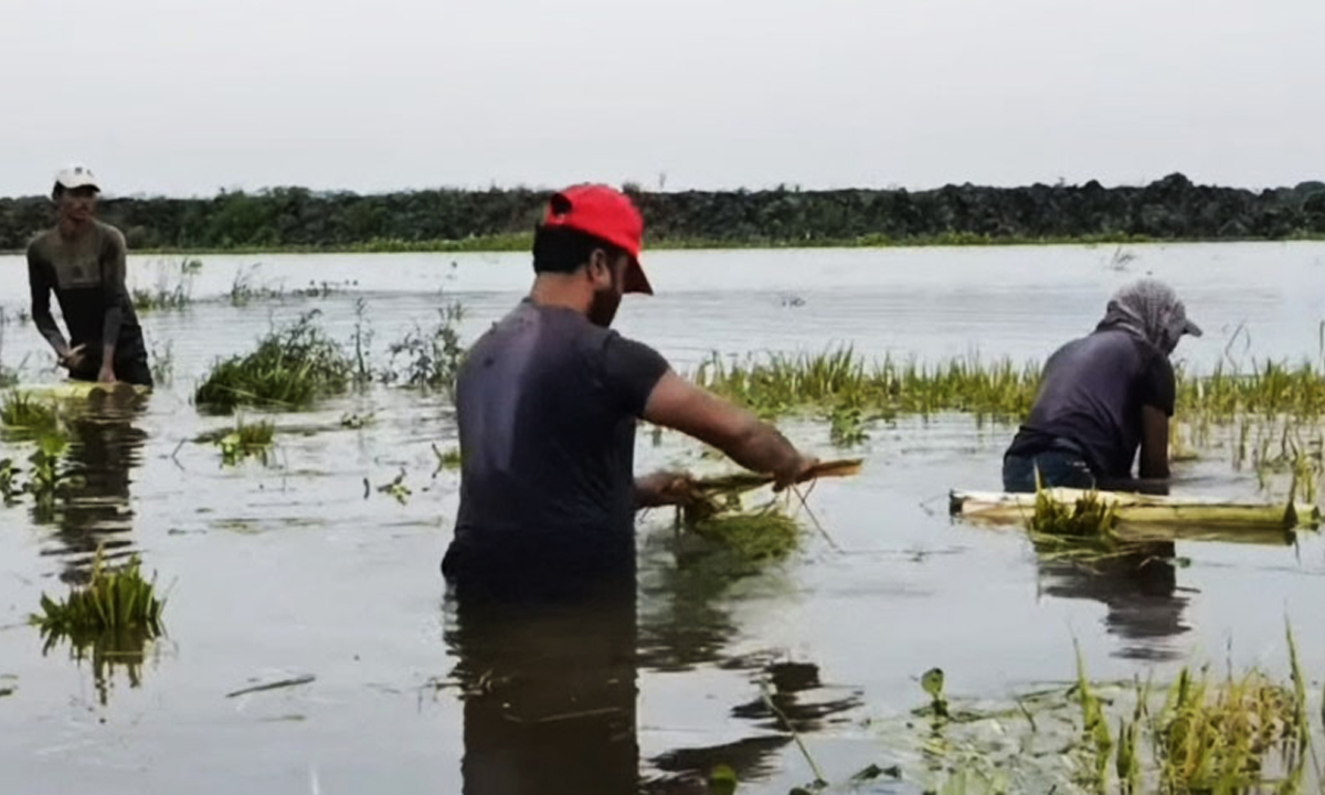 প্রধান উপদেষ্টা পদত্যাগ করবেন না: ফাইজ তাইয়েব আহমেদ