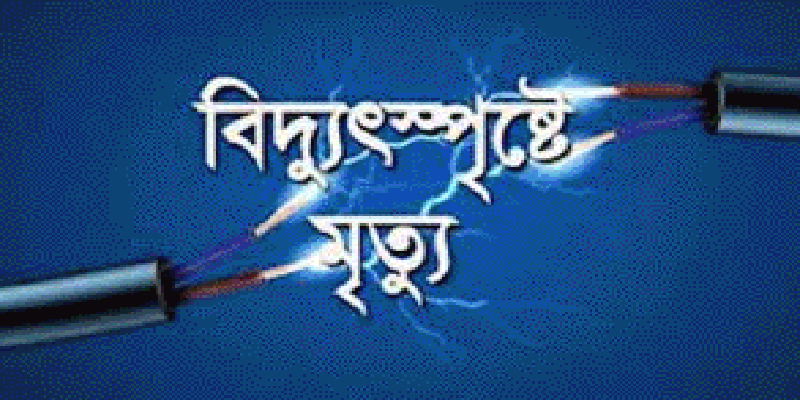 প্রধান উপদেষ্টা পদত্যাগ করবেন না: ফাইজ তাইয়েব আহমেদ