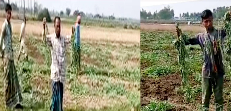 প্রধান উপদেষ্টা পদত্যাগ করবেন না: ফাইজ তাইয়েব আহমেদ