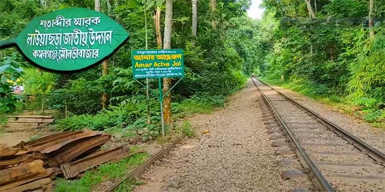 প্রধান উপদেষ্টা পদত্যাগ করবেন না: ফাইজ তাইয়েব আহমেদ
