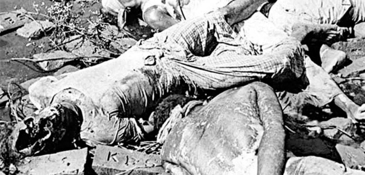 প্রধান উপদেষ্টা পদত্যাগ করবেন না: ফাইজ তাইয়েব আহমেদ