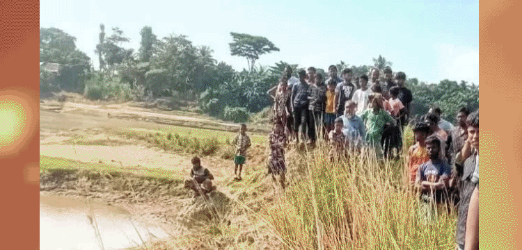 প্রধান উপদেষ্টা পদত্যাগ করবেন না: ফাইজ তাইয়েব আহমেদ