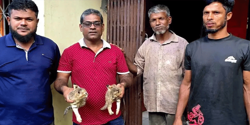 প্রধান উপদেষ্টা পদত্যাগ করবেন না: ফাইজ তাইয়েব আহমেদ