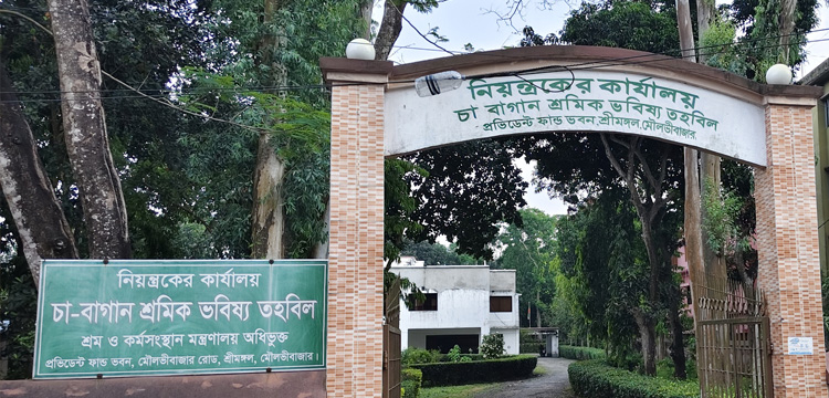 প্রধান উপদেষ্টা পদত্যাগ করবেন না: ফাইজ তাইয়েব আহমেদ