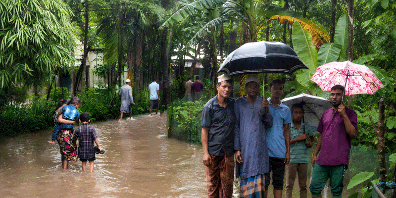 প্রধান উপদেষ্টা পদত্যাগ করবেন না: ফাইজ তাইয়েব আহমেদ