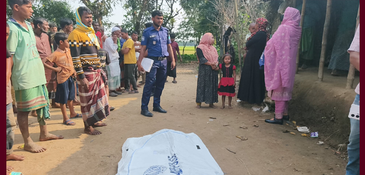 প্রধান উপদেষ্টা পদত্যাগ করবেন না: ফাইজ তাইয়েব আহমেদ