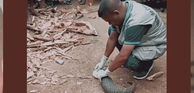 প্রধান উপদেষ্টা পদত্যাগ করবেন না: ফাইজ তাইয়েব আহমেদ