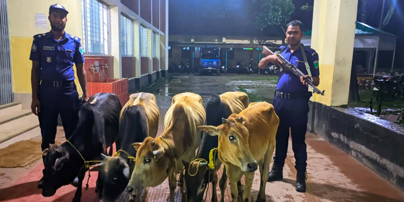 প্রধান উপদেষ্টা পদত্যাগ করবেন না: ফাইজ তাইয়েব আহমেদ