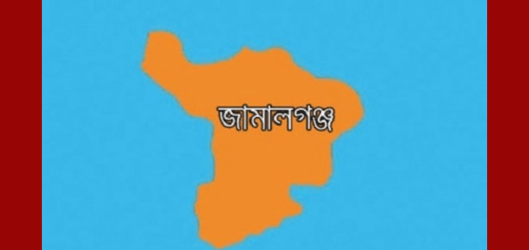 প্রধান উপদেষ্টা পদত্যাগ করবেন না: ফাইজ তাইয়েব আহমেদ