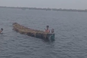 দিরাইয়ে বরাম হাওরে কৃষকের ধান লুটের মহোৎসব