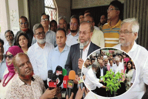 গাছ লাগানোর পাশাপাশি সঠিক পরিচর্যা জরুরি