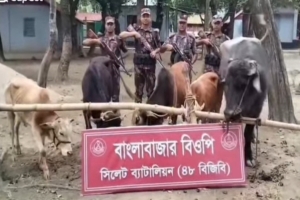 সিলেট সীমান্তে ৫৭ লাখ টাকার ভারতীয় পণ্য ও পাচারযোগ্য মাছ জব্দ