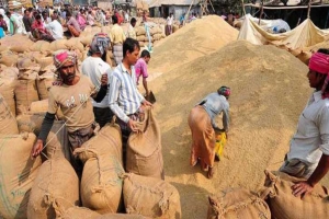 সিলেটে ধান-চাল সংগ্রহের লক্ষ্যমাত্রা বৃদ্ধি