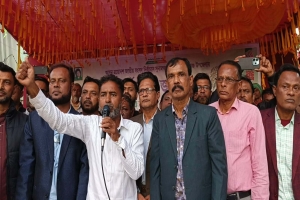 সারা বাংলাদেশে ধানের শীষ ঐক্যের প্রতীক : আনিসুল হক