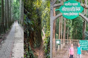 লাউয়াছড়া উদ্যানে ৩ দিনে রাজস্ব আয় প্রায় সাড়ে ৫ লাখ টাকা