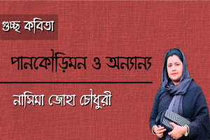 নাসিমা জোহা চৌধুরী এর কবিতা ‘পানকৌড়িমন ও অন‍্যান‍্য’
