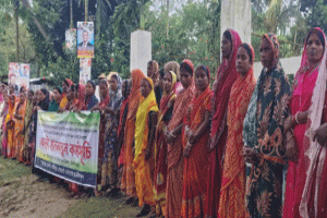 শ্রীমঙ্গেল প্রভিডেন্ট ফান্ডের বকেয়া আদায়ের দাবিতে চা শ্রমিকদের কর্মবিরতি
