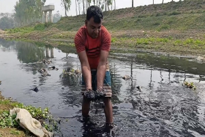 হবিগঞ্জের সুতাং নদী এখন বিষের আধার