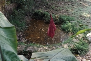 কমলগঞ্জে বসতবাড়ির পাশে গ্রেনেড উদ্ধার