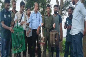 হবিগঞ্জে যৌথ অভিযানে ২৪ বন্যপাখি উদ্ধার