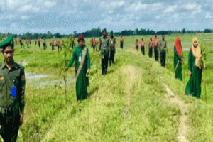 হবিগঞ্জে আনসার বাহিনীর উদ্যোগে বৃক্ষরোপণ অভিযান