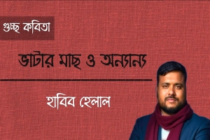 হাবিব হেলাল এর ‘ভাটার মাছ ও অন‍্যান‍্য কবিতা’
