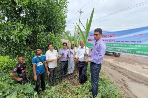 মাধবপুরে বৃক্ষ রোপণ কর্মসূচীর উদ্বোধন
