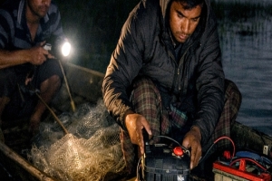 টাঙ্গুয়ার হাওরে রাতের অন্ধকারে ‘শক সন্ত্রাস’: নির্বিচারে মাছ নিধন