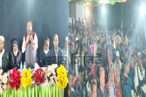 বড়লেখায় বিএনপির বিজয় উদযাপন: ঐক্যের ডাক ও মিষ্টি বিতরণ