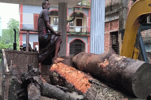 শাল্লায় বিধি ভেঙে স্কুলের গাছ কাটার অভিযোগ প্রধান শিক্ষকের বিরুদ্ধে