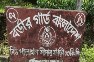 বড়লেখা সীমান্তে ৭ ভারতীয় নাগরিক আটক, পরে ফেরত পাঠাল বিজিবি