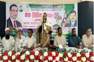 বিএনপি উদার রাজনৈতিক দল ও ইসলামি মূল্যবোধে বিশ্বাসী: লুনা