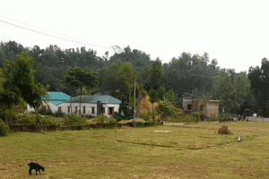 সিলেটে ভূমি খেকো চক্রের কবলে জার্মান প্রবাসীর কোটি টাকার ভূমি