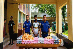 কোম্পানীগঞ্জে ভারতীয় পণ্যসহ আটক ১