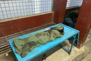 বিয়ানীবাজারে পিকআপের চাপায় ৩ বছরের শিশুর মর্মান্তিক মৃত্যু