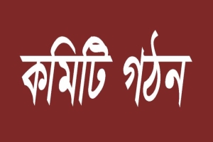 কোম্পানীগঞ্জে মাধ্যমিক সহকারী শিক্ষক পরিষদের নতুন কমিটি গঠন