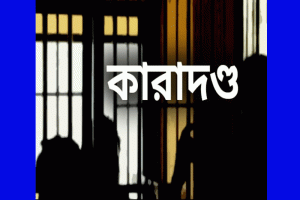 সিলেটে প্রতারণার মামলায় যুক্তরাষ্ট্রপ্রবাসী নারীর কারাদণ্ড