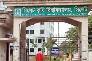 সিলেট কৃষি বিশ্ববিদ্যালয়ে শিক্ষকদের মধ্যে হাতাহাতি, আহত একাধিক